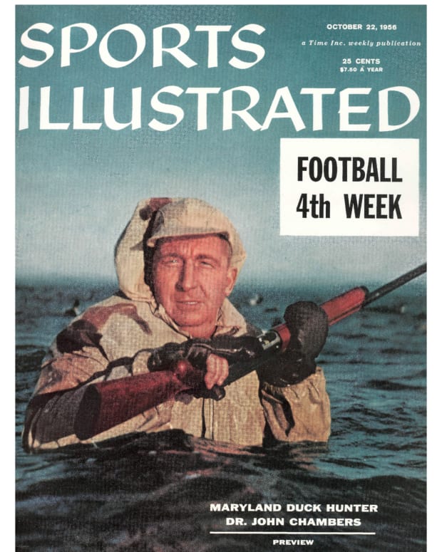 46181 - Cover Image